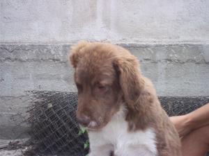 Прикачена снимка