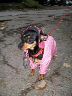 Прикачена снимка