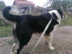 Прикачена снимка