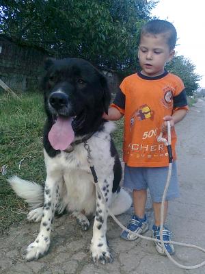 Прикачена снимка