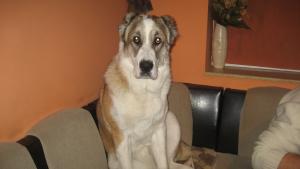 Прикачена снимка