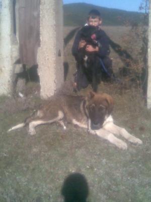 Прикачена снимка