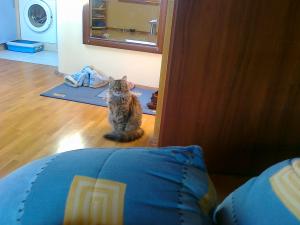 Прикачена снимка