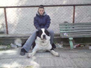 Прикачена снимка