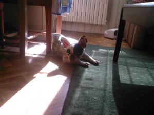 Прикачена снимка