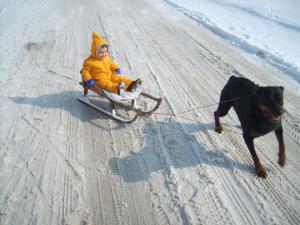 Прикачена снимка