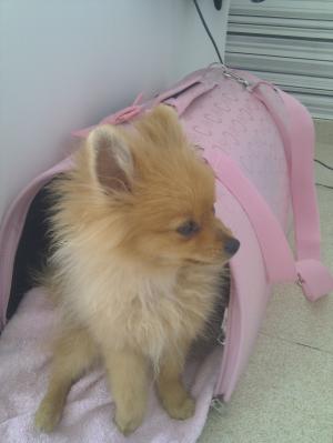 Прикачена снимка