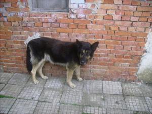 Прикачена снимка
