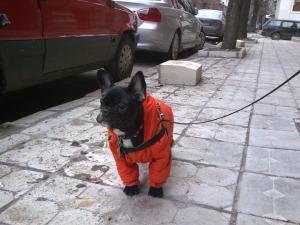 Прикачена снимка