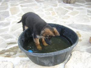 Прикачена снимка