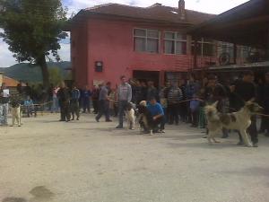 Прикачена снимка