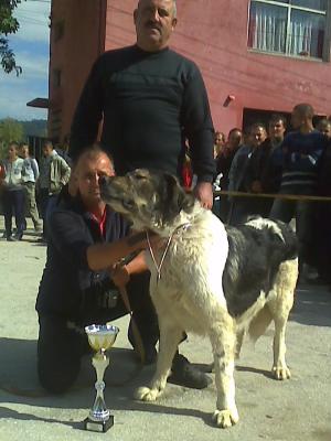 Прикачена снимка