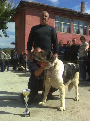 Прикачена снимка