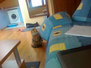Прикачена снимка
