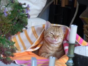 Прикачена снимка