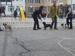 Прикачена снимка