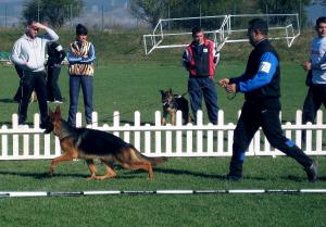 Прикачена снимка