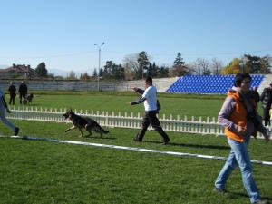 Прикачена снимка