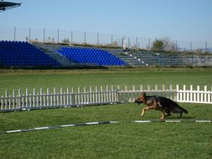 Прикачена снимка