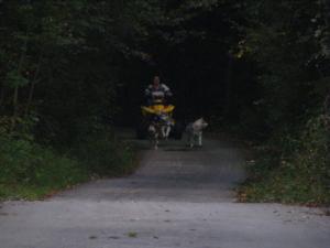 Прикачена снимка