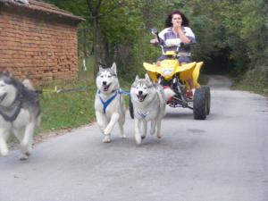 Прикачена снимка