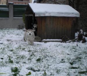 Прикачена снимка