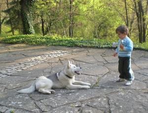 Прикачена снимка