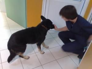 Прикачена снимка