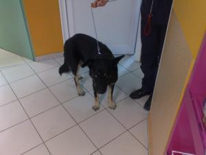 Прикачена снимка