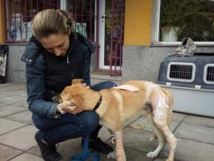 Прикачена снимка