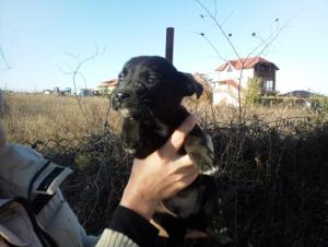 Прикачена снимка