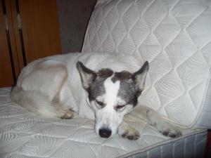 Прикачена снимка