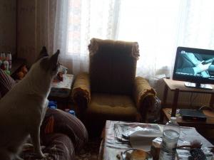 Прикачена снимка