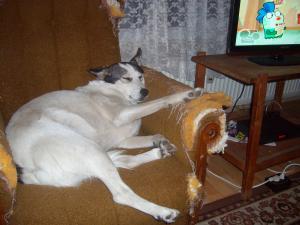 Прикачена снимка