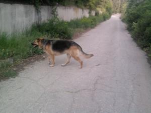 Прикачена снимка