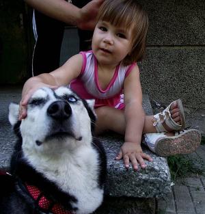 Прикачена снимка