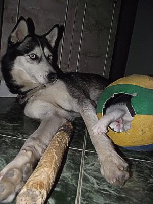 Прикачена снимка
