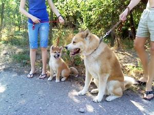 Прикачена снимка