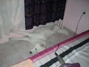 Прикачена снимка