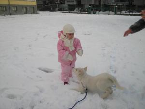 Прикачена снимка