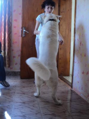 Прикачена снимка