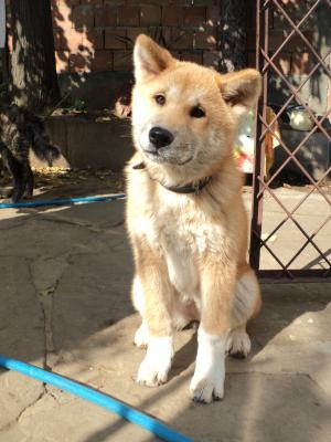 Прикачена снимка
