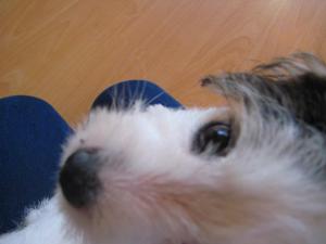 Прикачена снимка