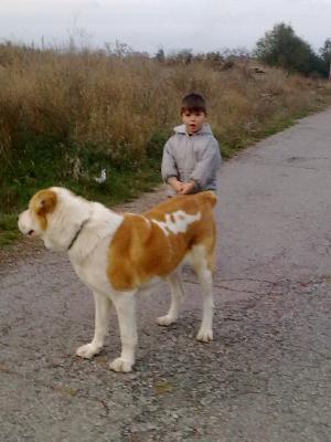 Прикачена снимка