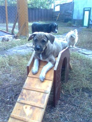 Прикачена снимка