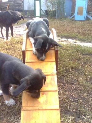 Прикачена снимка