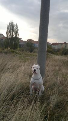 Прикачена снимка