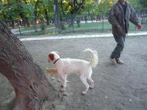 Прикачена снимка