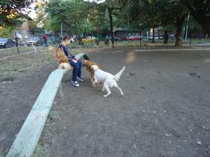 Прикачена снимка