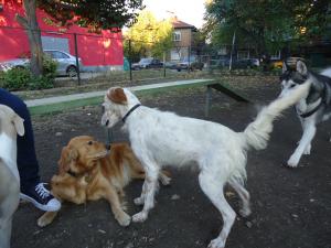 Прикачена снимка
